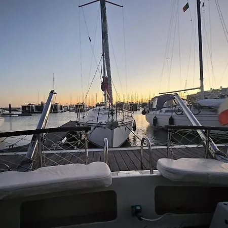 Boat Speedboat G44 Botel