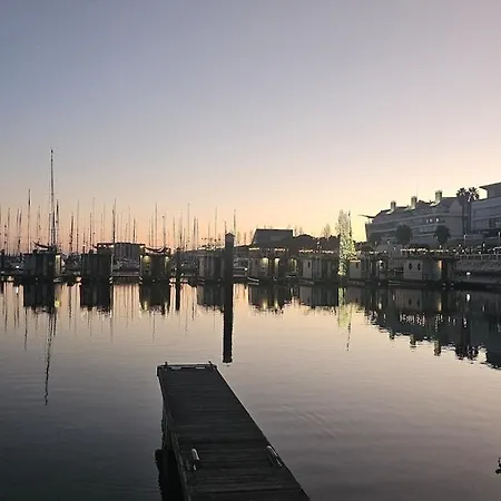 Boat Speedboat G44 Botel *